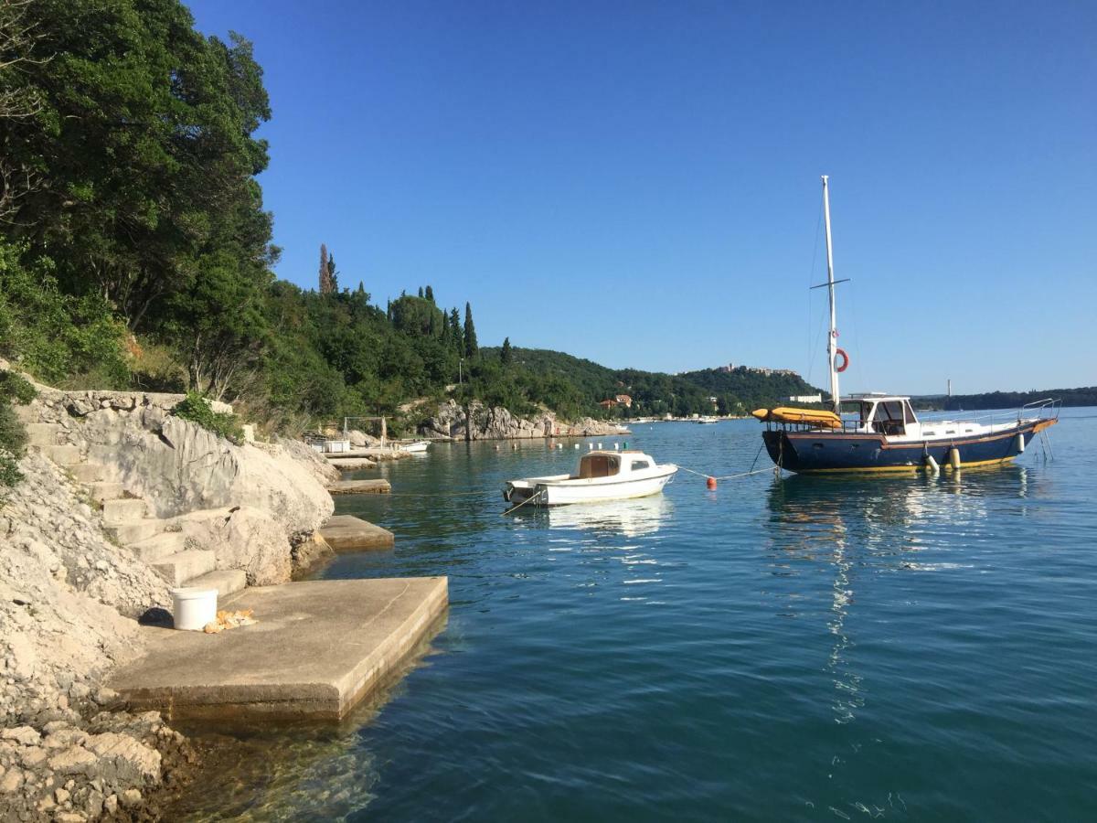 Apartament Cvenkica