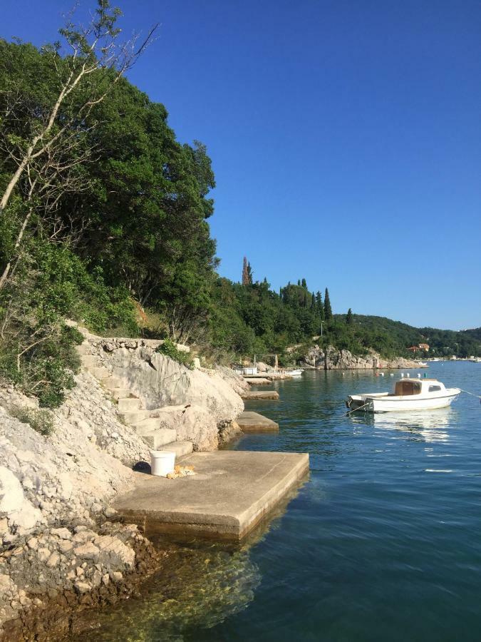 Apartament Cvenkica